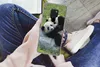 MuchoWow® Handyhülle Schutzhülle Hülle für Huawei P40 Lite Produktbild-Vorschau 3