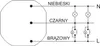 A schematic diagram showing electrical connections for a device with three input terminals labeled 'NIEBIESKI', 'CZARNY', and 'BRĄZOWY', connected to two sets of light bulbs and switches, with output terminals labeled 'N' and 'L'. Produktbild-Vorschau