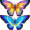 Papillon cerf-volant Kite pour enfants et adultes, Voir les images du produit 4