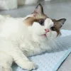 Tapis d'été rafraîchissant pour chats et chiens, matériau Voir les images du produit 4