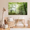MuchoWow® Poster Wald - Bäume - Sonne 120x80 cm - Bilder Produktbild-Vorschau 6