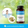 Bioherba Astragalus Extrakt 300 mg 100 Kapseln Produktbild-Vorschau 7