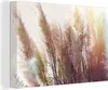 MuchoWow® - Leinwandbilder - Stilleben - Farben - Schilf, Produktbild-Vorschau 1