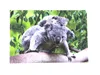 3 D Ansichtskarte Koala mit Baby, Postkarte Wackelkarte Produktbild-Vorschau 1