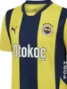 Fenerbahçe Puma A Team 2024/2025 Çubuklu Home Jersey L Produktbild-Vorschau 3