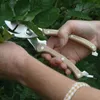 Esschert Design Edelstahl Obst und Blumenschere; GT13 Produktbild-Vorschau 16