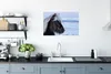 MuchoWow® Poster Pferd - Schnee - Island 60x40 cm - Produktbild-Vorschau 3