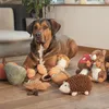 Beeztees Hundespielzeug Kürbis Koba aus Cord orange Produktbild-Vorschau 3
