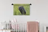 MuchoWow® Wandteppich Wandbehang Perlhühner - Vögel - Produktbild-Vorschau 2