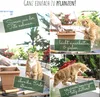 Blumensamen Balkonkasten Mischung - Farbenfrohe Blumen mit Produktbild-Vorschau 5