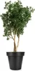 BigDean Blumentopf XXL ø60 cm Classic anthrazit - mit 360 Produktbild-Vorschau 1