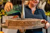 Steckmasse Platte 59,5x40x6cm kompostierbar & abbaubar 1 Produktbild-Vorschau 9