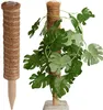 Progarden Kokos-Pflanzenstütze 50 cm – Naturstütze für Produktbild-Vorschau 1