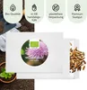 Mariendistel Samen - Heilkräuter Saatgut aus biologischem Produktbild-Vorschau 4