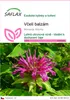 SAFLAX - včelí balzám - Monarda didyma - 20 Semena Náhled obrázku produktu 1