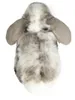 Teddy Hermann Kuscheltier Hase schwarz 17 cm Plüschhase Produktbild-Vorschau 2