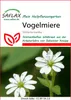 Artikelbild 2 von 'Vogelmiere' aus der Kategorie Einzelsaaten Anteprima dell’immagine prodotto