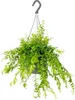 Bloomique - Aeschynanthus Mona Lisa - Lippenstiftpflanze - Produktbild-Vorschau 1