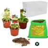 Masožravé rostliny - Do-It-Yourself Aquarium - medium Náhled obrázku produktu 1