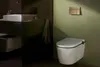 HANSGROHE 66003140 Betätigungsplatte iFrame Element E Produktbild-Vorschau 13