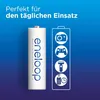 eneloop Batterie rechargeable BK-3MCDE/8BE Ni-MH 1,2V / Voir les images du produit 22