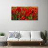 Tulup Leinwand-Bilder 100x50 Wandbild Canvas Kunstdruck Produktbild-Vorschau 3