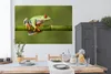 MuchoWow® Poster Rotäugiger Quecksilberfrosch auf Bambus Produktbild-Vorschau 3