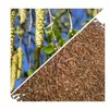 Herbs from Poland Birkenknospen – Unterstützt Harnwege, Produktbild-Vorschau 2