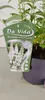 Buddleja davidii 'White Profusion', krzew motylkowy, Podgląd zdjęcia produktu 2