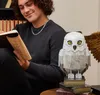 A young man is reading a book next to a model of Hedwig, the owl from Harry Potter. Produktbild-Vorschau
