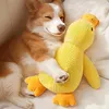 Hundespielzeug aus Plüsch für große Hunde, leises Produktbild-Vorschau 1