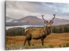 Bild auf Leinwand - Leinwandbild - Einteilig - Rehe Wiese Produktbild-Vorschau 1