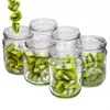 Several glass jars filled with sliced kiwi fruit are arranged on a white background. Some kiwi slices are shown falling into one of the jars. Podgląd zdjęcia produktu