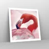 Poster - Poster ohne Rahmen - Flamingo Vogel Porträt - Produktbild-Vorschau 7