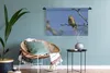 MuchoWow® Wandteppich Wandbehang Ein Zilpzalp sitzt auf Produktbild-Vorschau 5