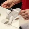 WESTMARK Ersatzteilset zu Kunststoff-Entkerner 4teilig 1 Anteprima dell’immagine prodotto 5