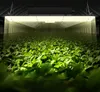 200W Dimmbar Pflanzenlampe 30x60x7.7cm LED Pflanzenlampe Produktbild-Vorschau 8