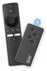 Two black remote controls and a small blue flower decoration. Produktbild-Vorschau