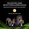 PURINA Pro Plan Veterinary Diets HA Hypoallergenic Dog 3kg Podgląd zdjęcia produktu 5