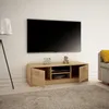 TV-Schrank 120cm breit Lowboard mit matter Oberfläche Produktbild-Vorschau 2