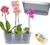2er Set Orchideentopf Transparent Orchideen Übertopf Produktbild-Vorschau 1