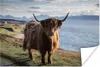MuchoWow® Poster Schottisches Hochlandrind - Licht - Wasser Produktbild-Vorschau 1
