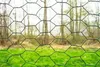 A wire mesh fence in the foreground with a blurred background of trees and grass. Voir les images du produit