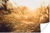 MuchoWow® Poster Sonne - Getreide - Feld 30x20 cm - Plakate Produktbild-Vorschau 1