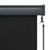 vidaXL Tenda a rullo per esterni 60 x 250 cm antracite Anteprima dell’immagine prodotto 6