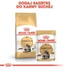 Royal Canin FBN Maine Coon Adult 24x85g Nassfutter in Soße Produktbild-Vorschau 8