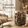 Kiefernzapfen 1 kg ca. 150 Stk 3-5 cm Pinus sylvestris Produktbild-Vorschau 5