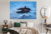 MuchoWow® Poster Delfin - Meer - Tier 180x120 cm - Produktbild-Vorschau 4