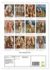 Stolze Haflinger Pferde (Wandkalender 2027 DIN A4 hoch), Produktbild-Vorschau 11