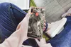 MuchoWow® Handyhülle Schutzhülle Hülle für Samsung Galaxy Produktbild-Vorschau 3